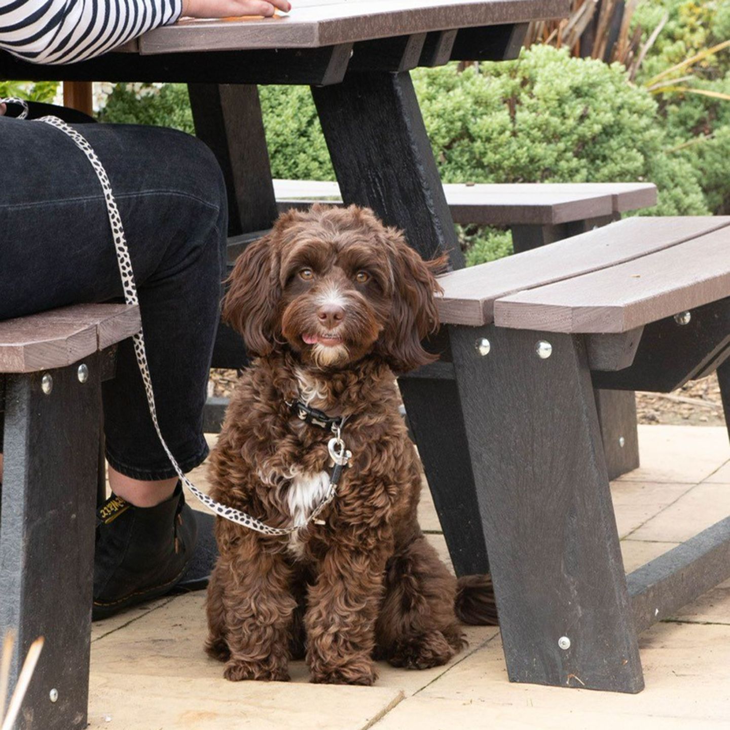 Your local dog friendly pub in Kidderminster